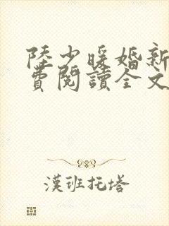 陆少暖婚新妻免费阅读全文无弹窗