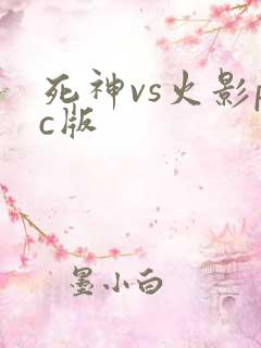 死神vs火影pc版