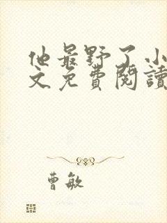 他最野了小说全文免费阅读无弹窗