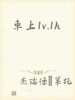 车上1v.1h