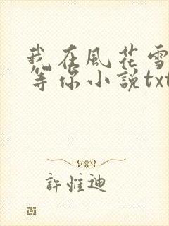 我在风花雪月里等你小说txt网盘