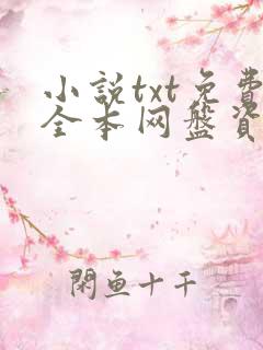 小说txt免费全本网盘资源