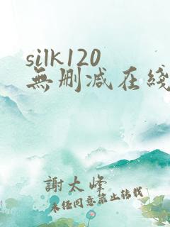 silk120无删减在线播放