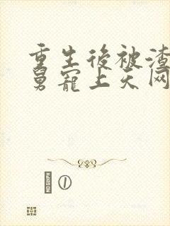 重生后被渣男舅舅宠上天网剧