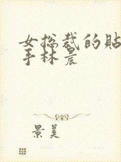 女总裁的贴身高手林晨