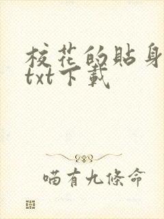 校花的贴身保镖txt下载