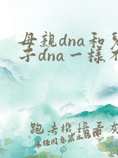 母亲dna和儿子dna一样不