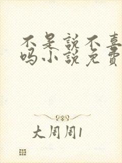 不是说不喜欢我吗小说免费阅读