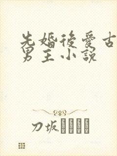 先婚后爱古耽双男主小说
