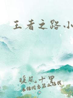 王者之路小说