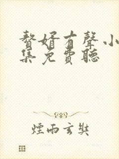 赘婿有声小说全集免费听