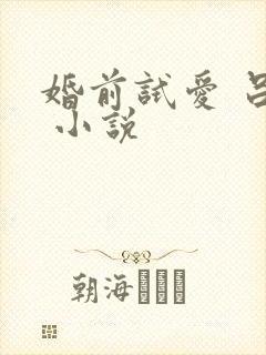 婚前试爱 吕颜 小说