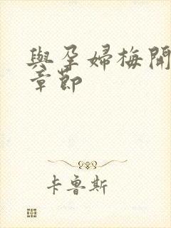 与孕妇梅开三度章节