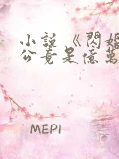 小说 《闪婚老公竟是亿万总裁》