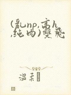 (乱np,高h,纯肉)双飞