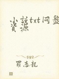 小说txt网盘资源