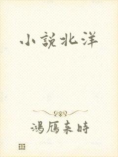 小说北洋