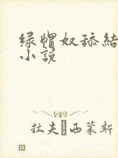 绿帽奴舔结合处小说