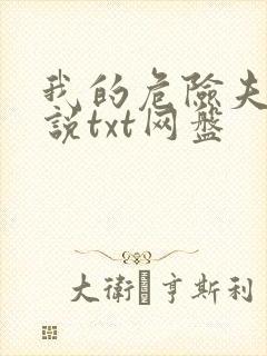 我的危险夫人小说txt网盘