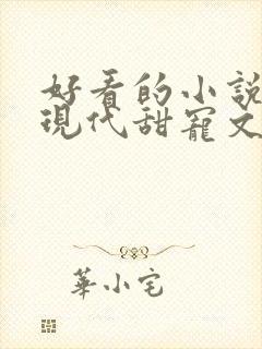 好看的小说言情现代甜宠文