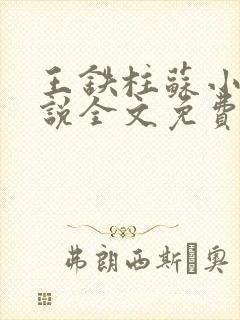 王铁柱苏小汐小说全文免费阅读最新章节