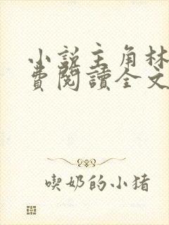 小说主角林风免费阅读全文