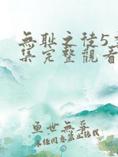 无耻之徒5季全集完整观看