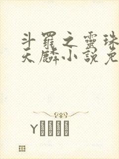 斗罗之灵珠神剑天麟小说免费全文在线