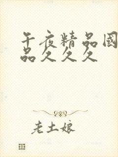 午夜精品国产精品久久久