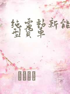 纯电动新能源小型货车