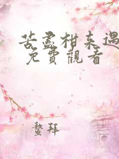 苦尽柑来遇见你 免费观看