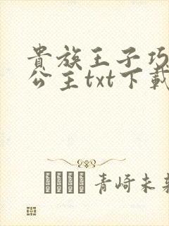 贵族王子巧遇穷公主txt下载