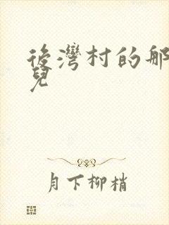 后湾村的那些事儿