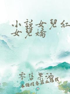 小说女儿红 续女儿娇