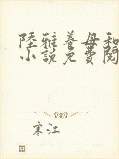 陆雅养母和小浩小说免费阅读