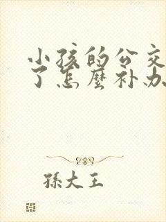 小孩的公交卡丢了怎么补办