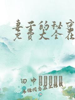 妻子的秘密小说免费大全在线阅读