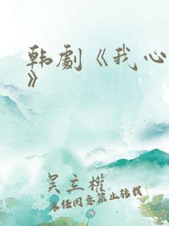 韩剧《我心闪亮》