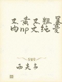 又黄又粗暴的纯肉np文纯爱