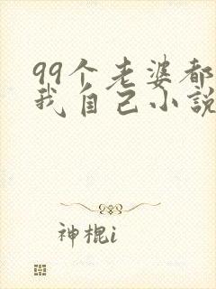 99个老婆都是我自己小说免费阅读