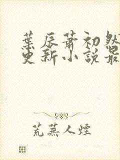 叶辰萧初然最快更新小说最新