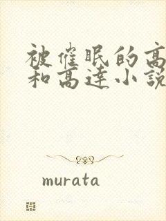 被催眠的高小柔和高达小说