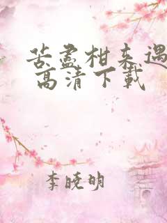 苦尽柑来遇见你 高清下载