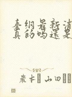 秦纲最新消息是真的吗还是假的