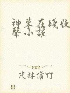 神墓在线收听有声小说