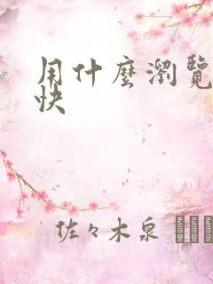 用什么浏览器最快