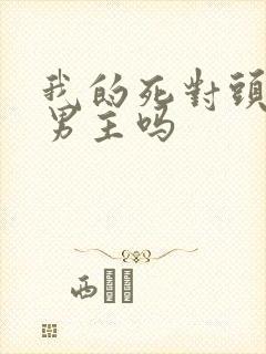 我的死对头是双男主吗