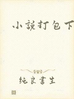 小说打包下载