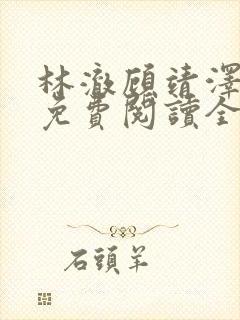 林澈顾靖泽小说免费阅读全文