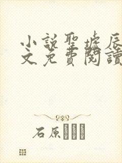 小说圣墟辰东全文免费阅读完整版